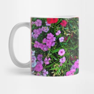 Colorful Bloom Photography My Mug